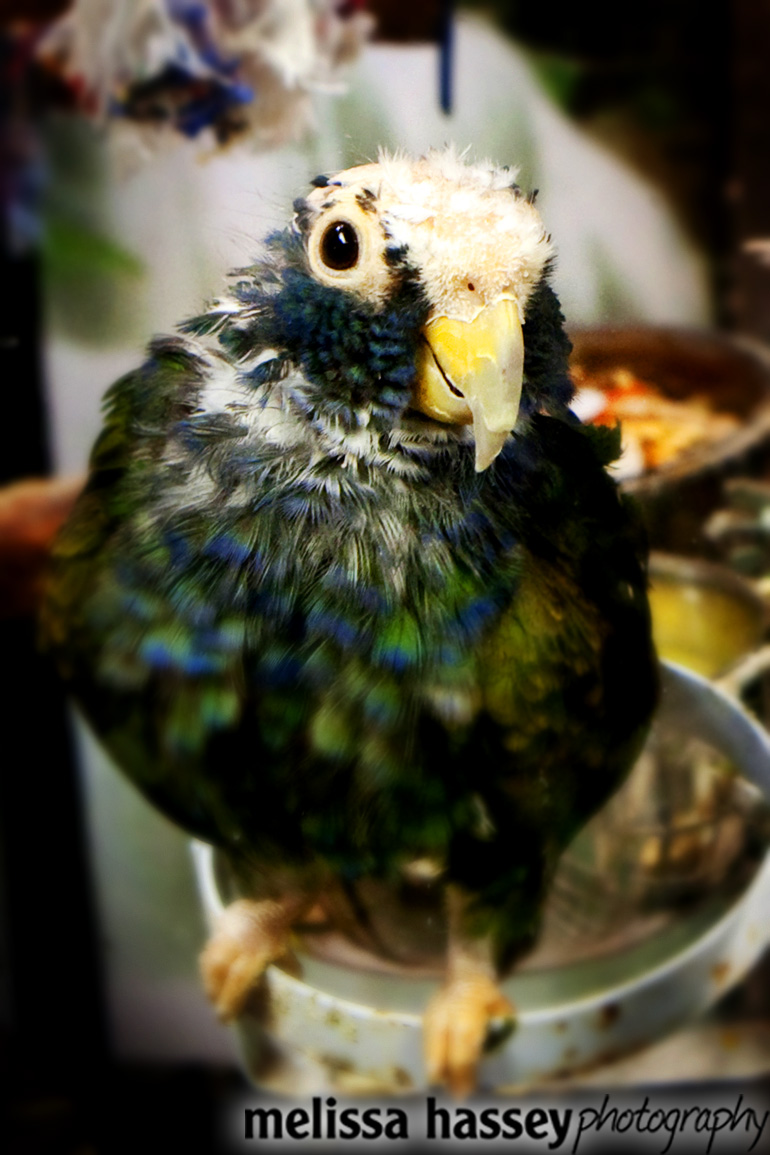 blog (0)