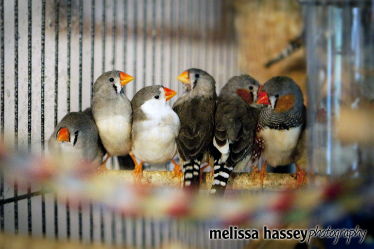 blog (6)
