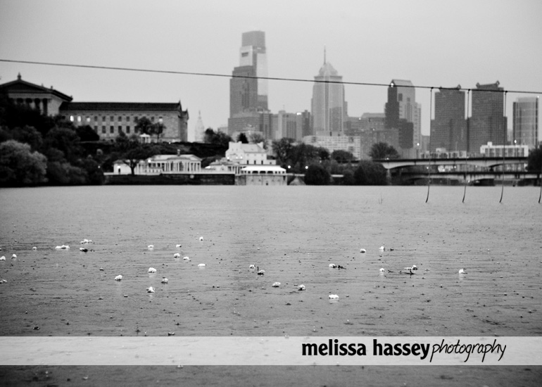 skyline with flowers in water