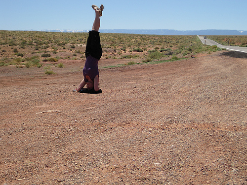 4596497549_9690ff0ba1