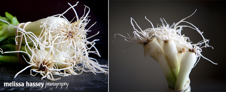 scallion roots