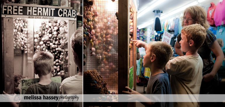 boardwalk hermit crabs