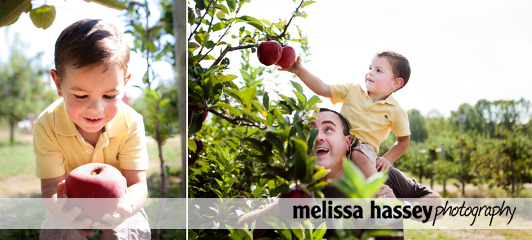 boy picking apples