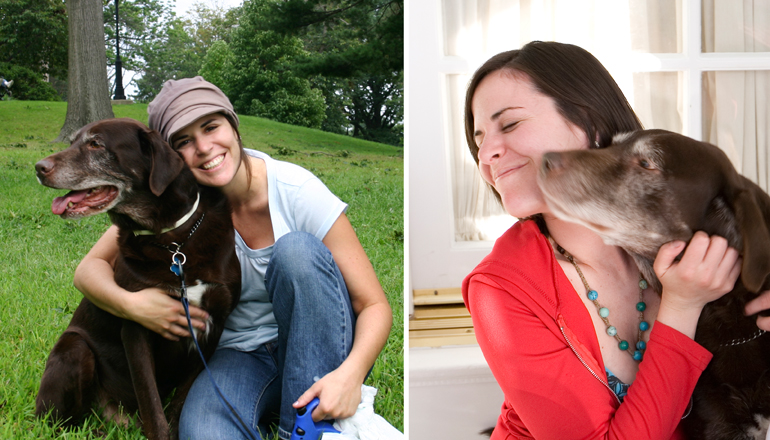 my chocolate Labrador