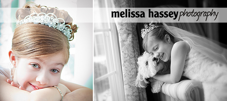 doggie in the window