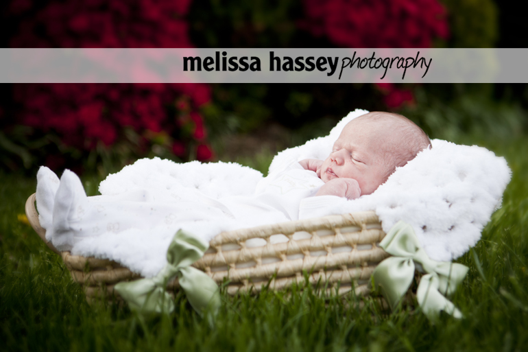outdoor newborn portrait