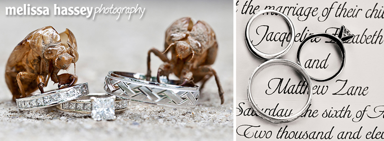 wedding rings & cicadas